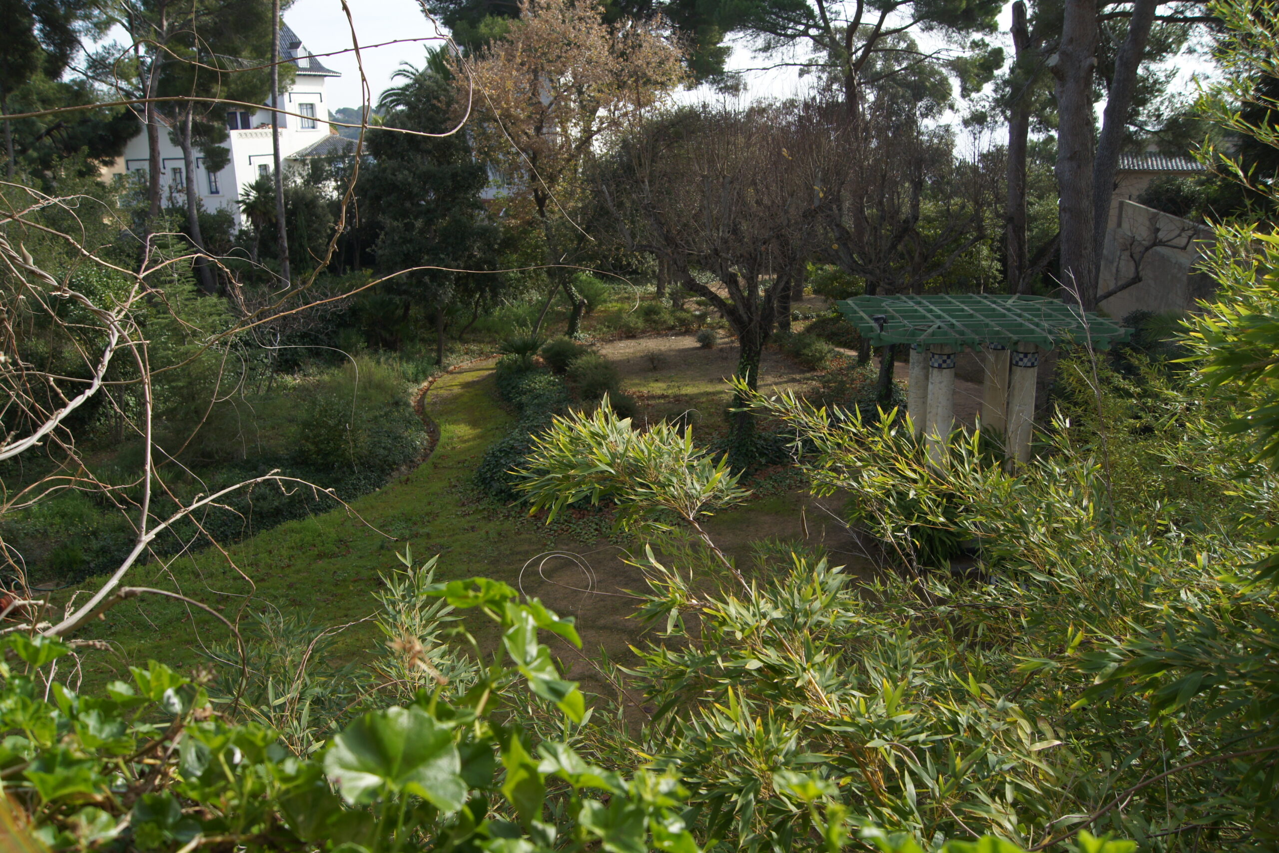 SONY DSC