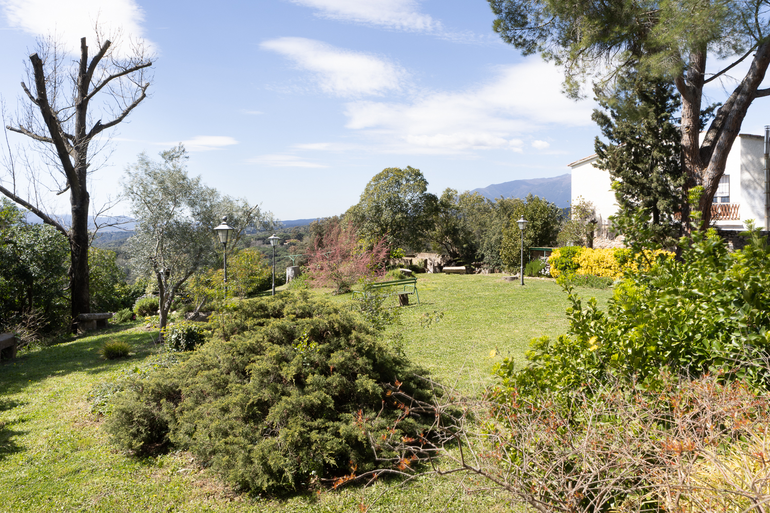 26 03 28_OSCAR GUIMERÀ_CATALUNYA 02_06